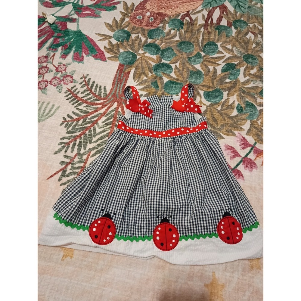 Vintage 90s Y2K Lady Bug Gingham Dress Toddler Girls Size 3T Rare,Too!